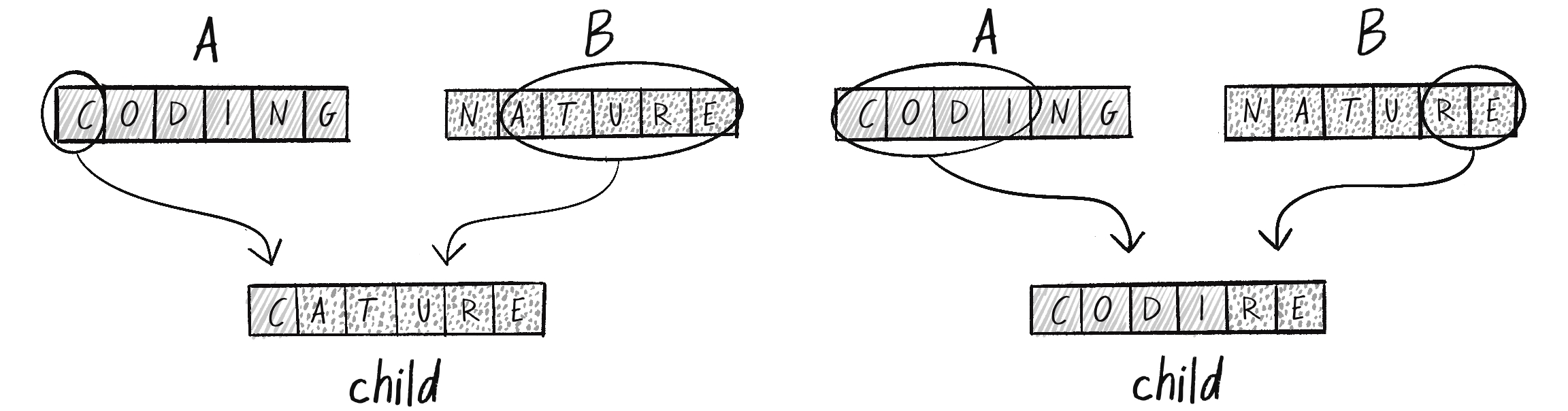 Figure 9.4: Two examples of crossover from a random midpoint 