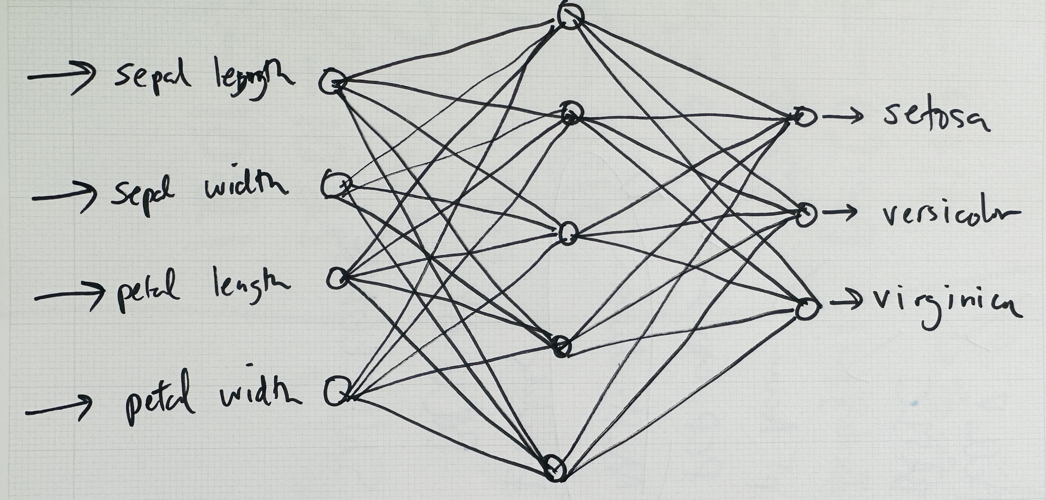 Figure 10.18: A possible network architecture for iris classification