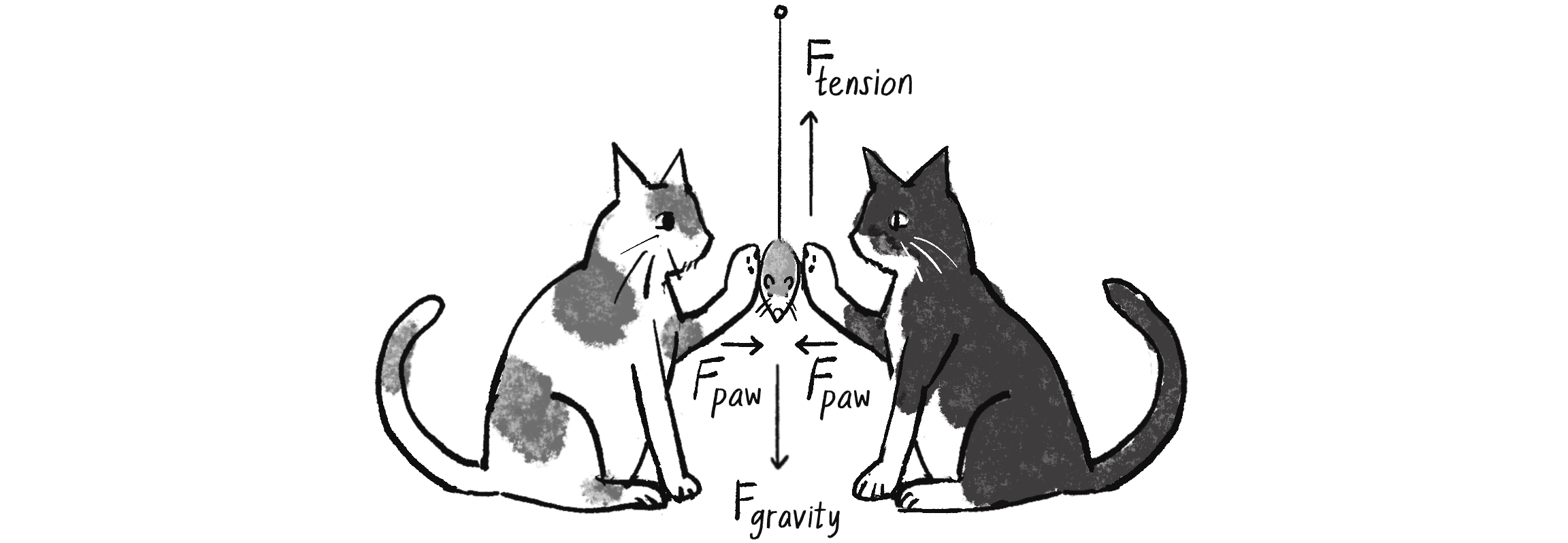 Figure 2.1: The toy mouse doesn’t move because all the forces cancel one another out (add up to a net force of zero). 