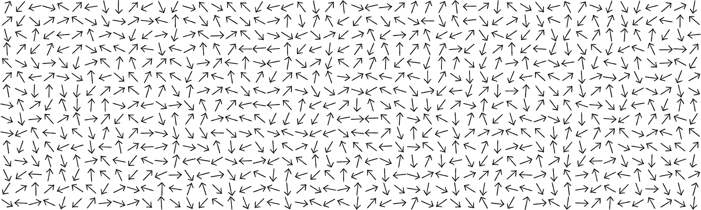 Figure 5.15: A flow field with vectors pointing in random directions